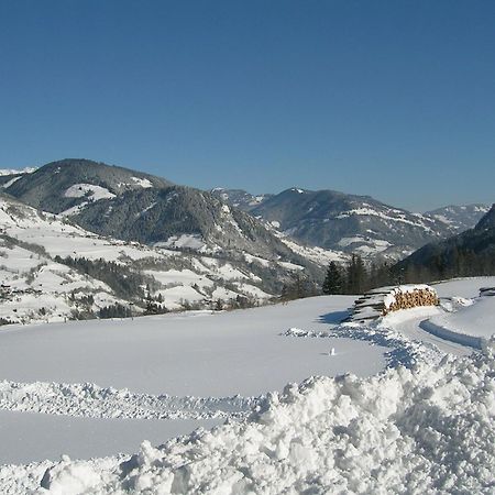 Sauschneid Hof Apartment ทักเซินบาค ภายนอก รูปภาพ
