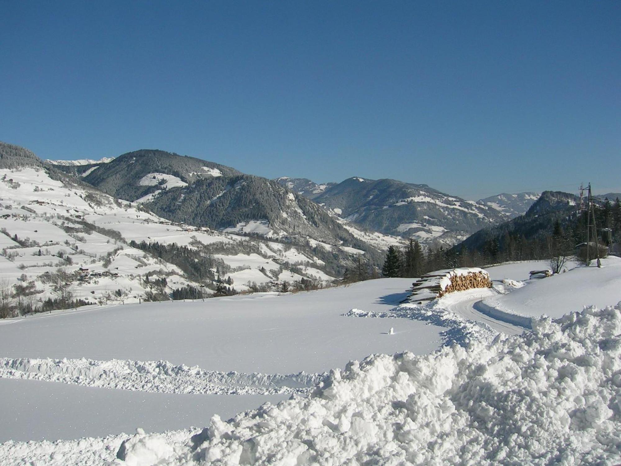 Sauschneid Hof Apartment ทักเซินบาค ภายนอก รูปภาพ
